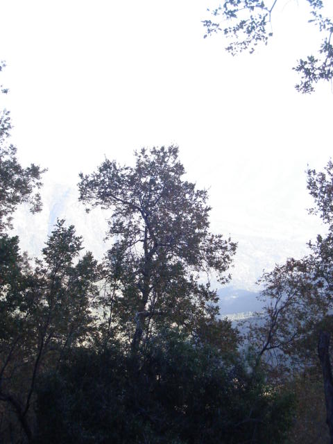 Foto de OLMUE, Chile