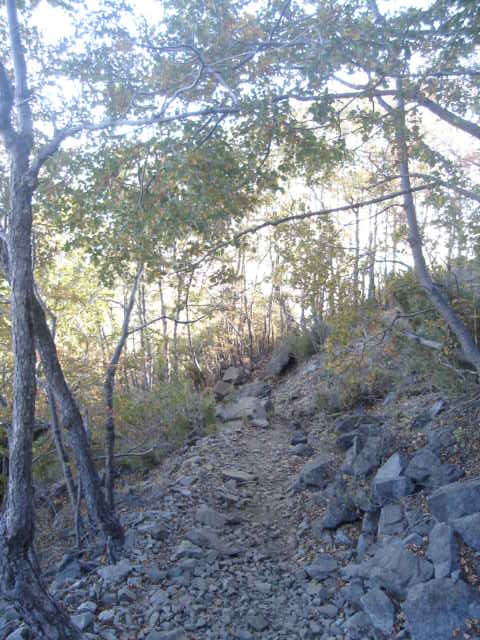 Foto de OLMUE, Chile