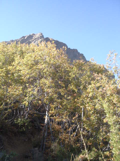 Foto de OLMUE, Chile