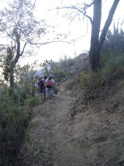 Foto de OLMUE, Chile