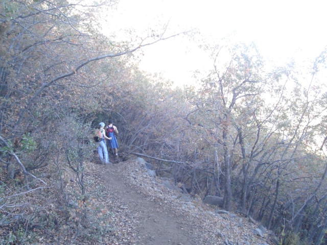 Foto de OLMUE, Chile