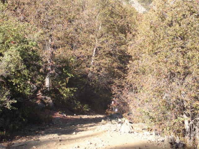 Foto de OLMUE, Chile