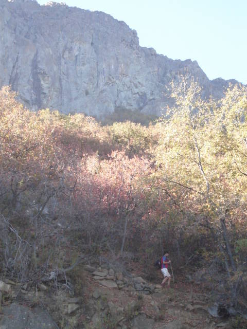 Foto de OLMUE, Chile