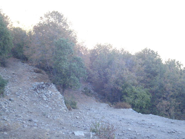 Foto de OLMUE, Chile