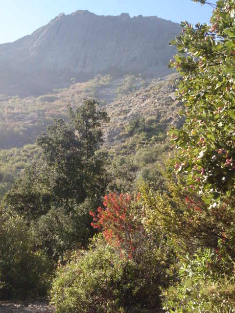 Foto de OLMUE, Chile