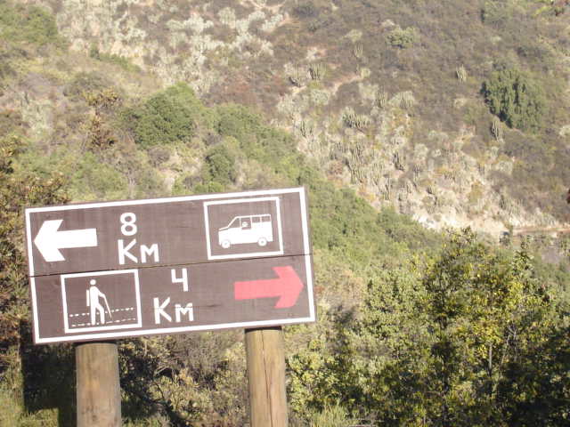 Foto de OLMUE, Chile