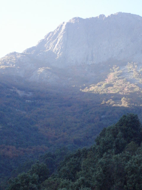 Foto de OLMUE, Chile