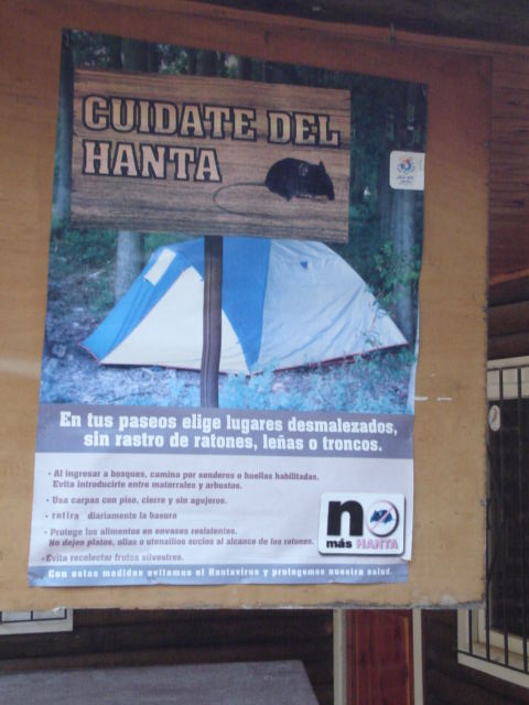 Foto de OLMUE, Chile