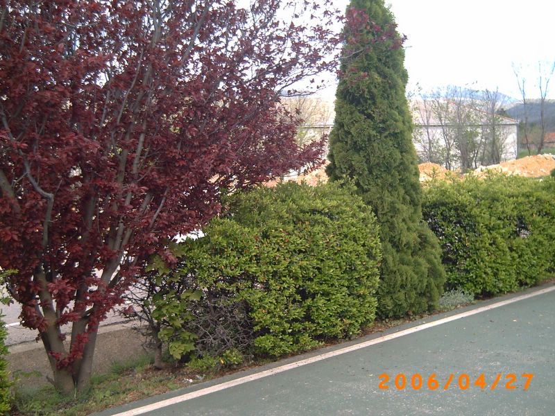 Foto de Ólvega (Soria), España