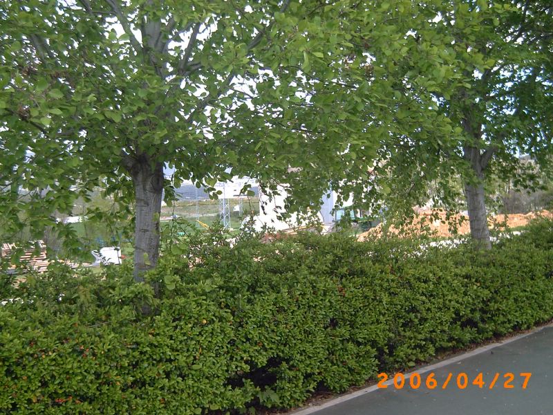 Foto de Ólvega (Soria), España