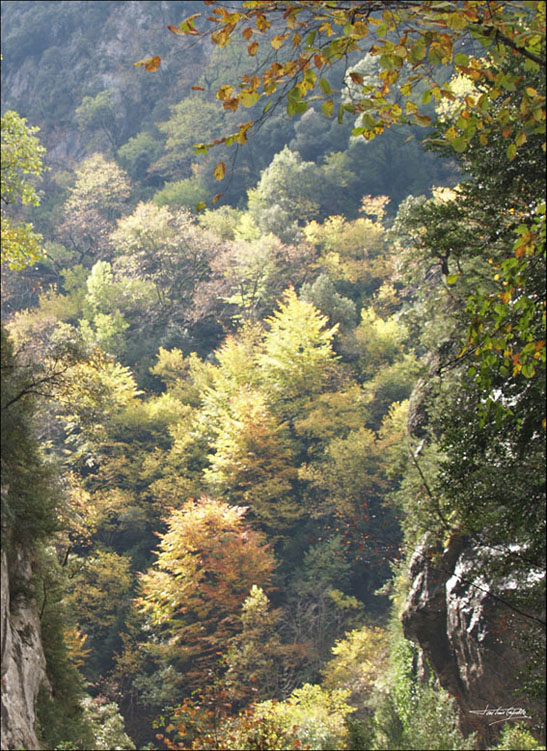 Foto de Escalona (Huesca), España