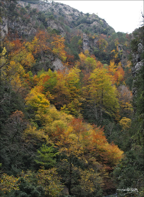 Foto de Escalona (Huesca), España