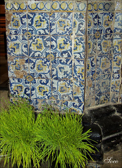 Foto de Poleñino (Huesca), España