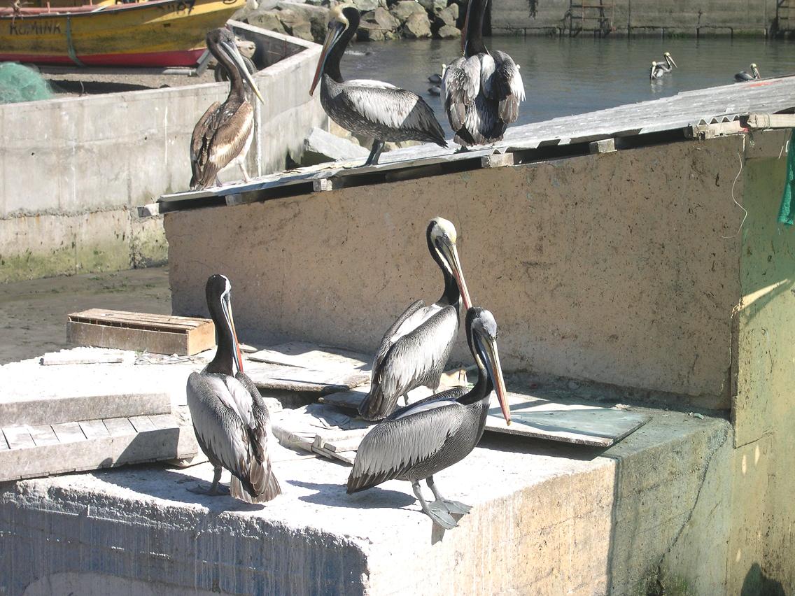 Foto de Valparaiso, Chile