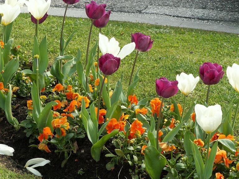 Foto de Santander (Cantabria), España