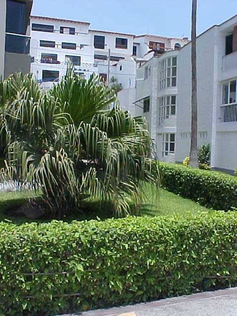 Foto de Ancon, Perú