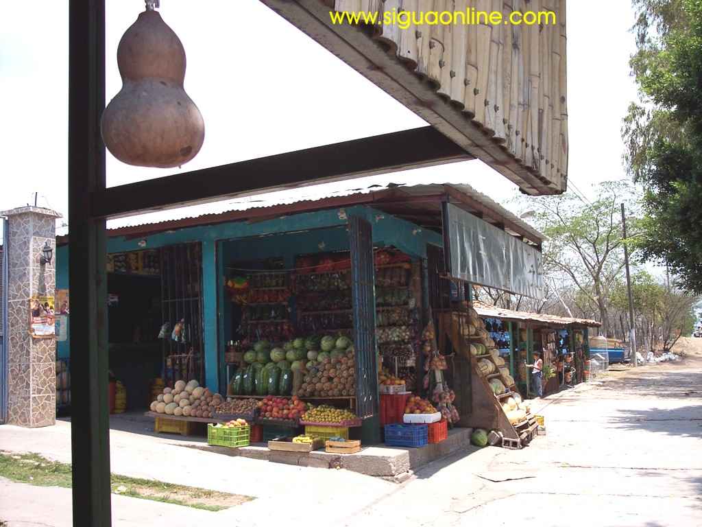 Foto de Los Palillos, Honduras
