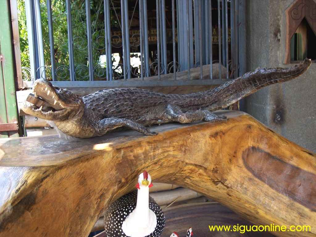 Foto de Los Palillos, Honduras