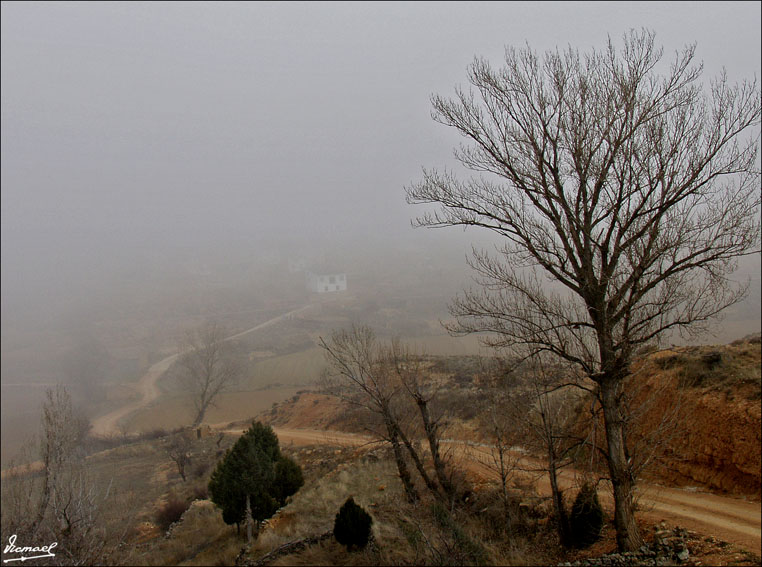 Foto de Alconchel de Ariza (Zaragoza), España