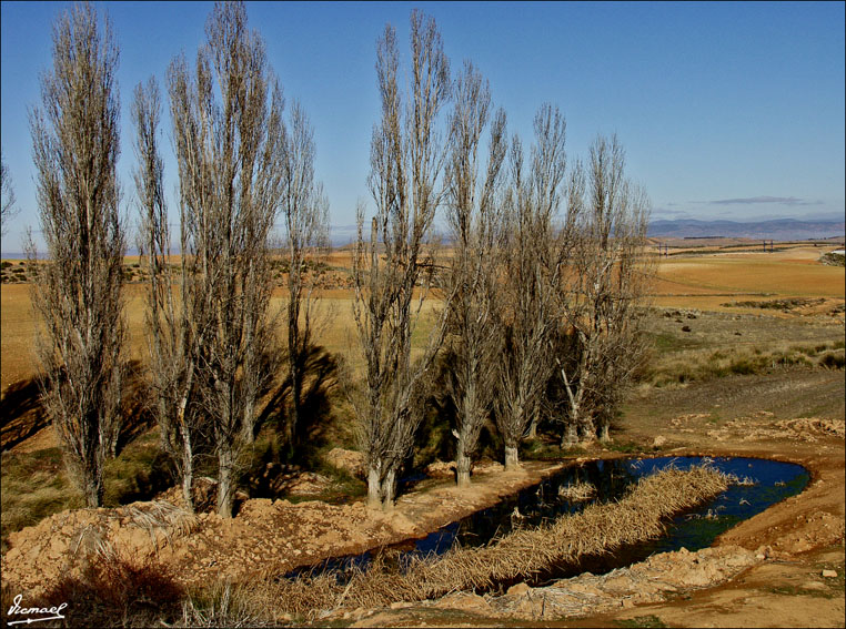 Foto de Alconchel de Ariza (Zaragoza), España
