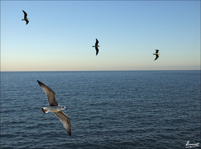 Foto de Oropesa del Mar (Castelló), España