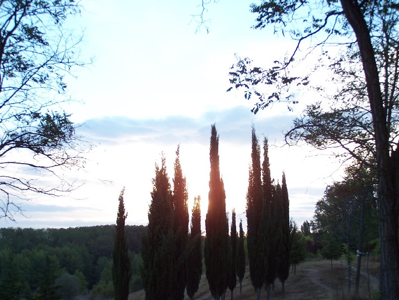 Foto de Burgos (Castilla y León), España