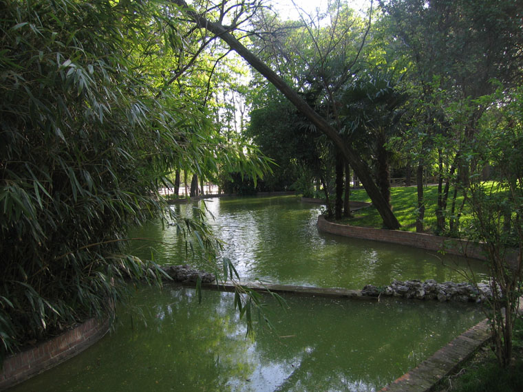 Foto de Madrid (Comunidad de Madrid), España