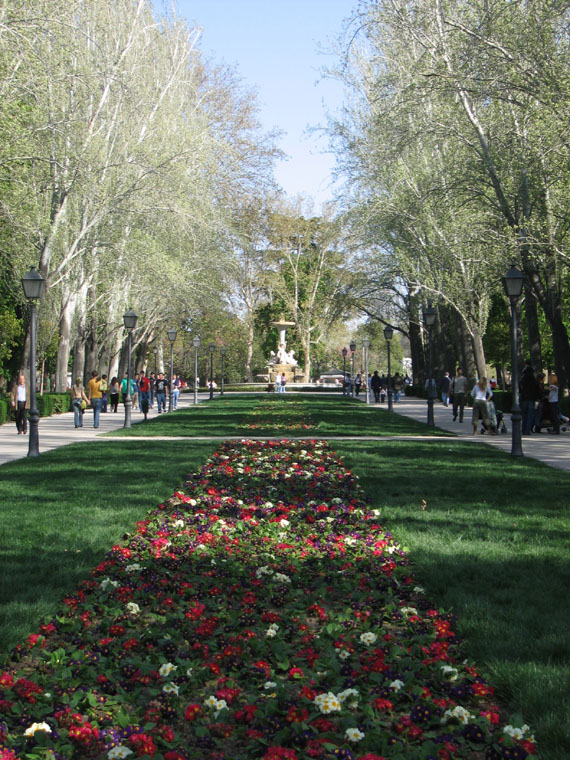 Foto de Madrid (Comunidad de Madrid), España