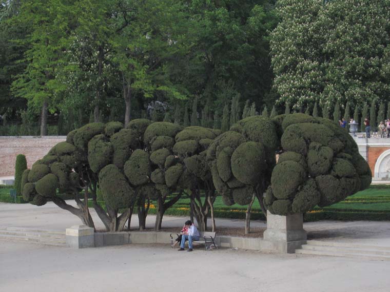 Foto de Madrid (Comunidad de Madrid), España
