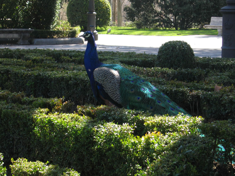 Foto de Madrid (Comunidad de Madrid), España