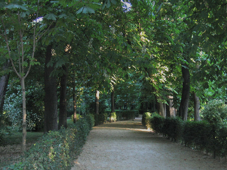 Foto de Madrid (Comunidad de Madrid), España