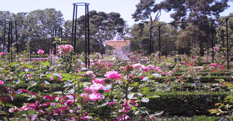 Foto de Madrid (Comunidad de Madrid), España