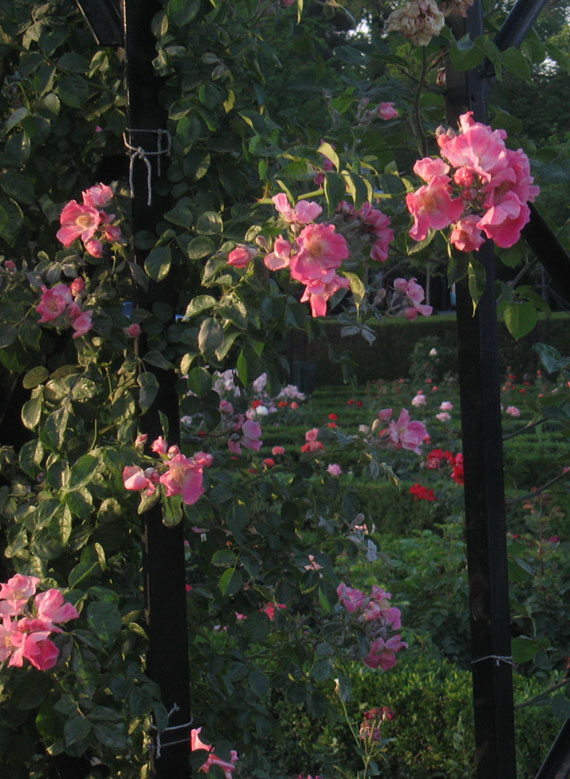 Foto de Madrid (Comunidad de Madrid), España