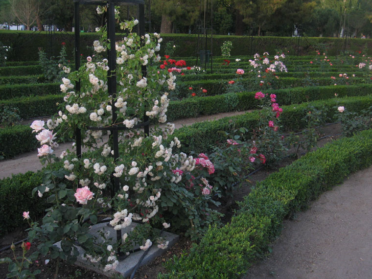 Foto de Madrid (Comunidad de Madrid), España