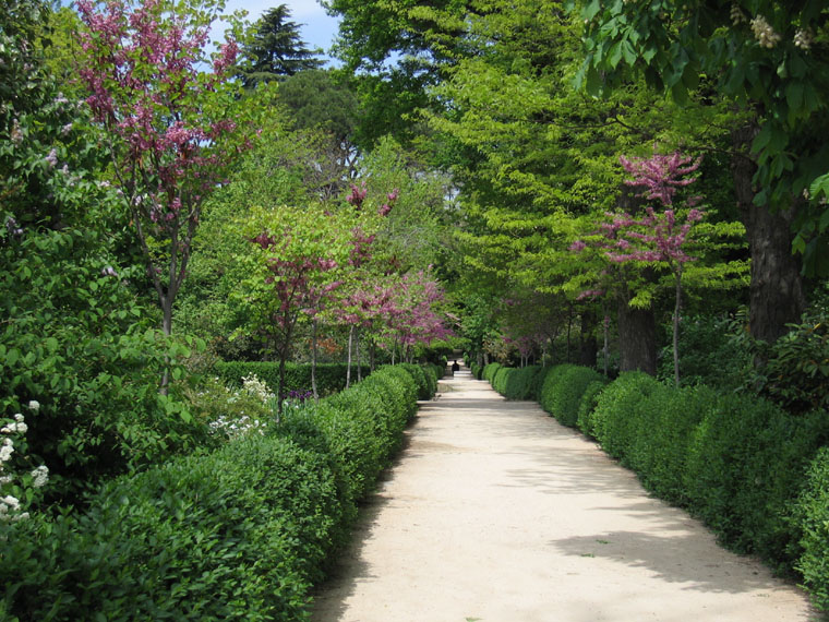 Foto de Madrid (Comunidad de Madrid), España