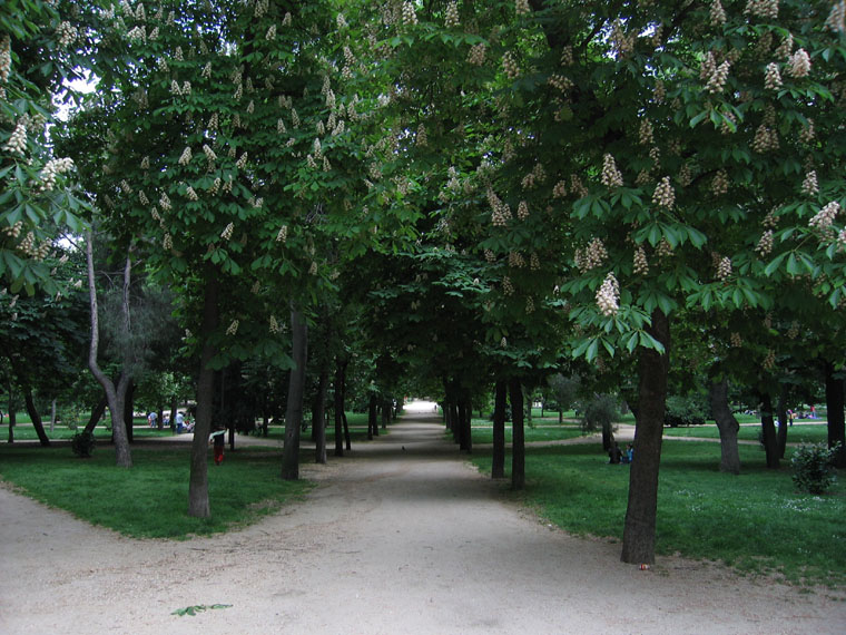 Foto de Madrid (Comunidad de Madrid), España