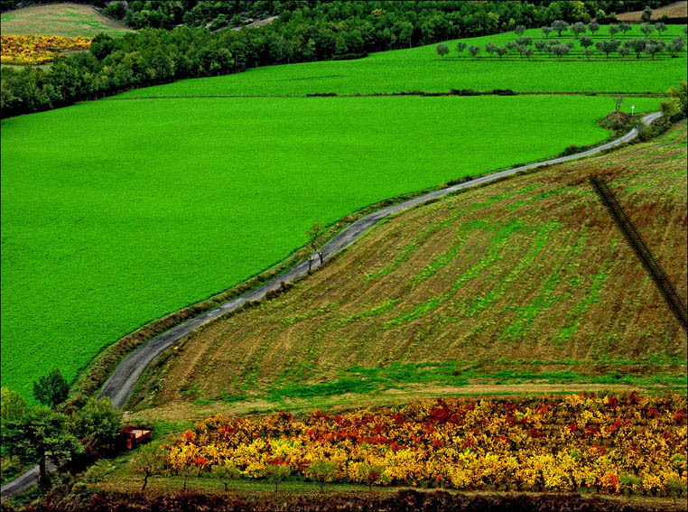 Foto de El Pueyo de Araguás (Huesca), España