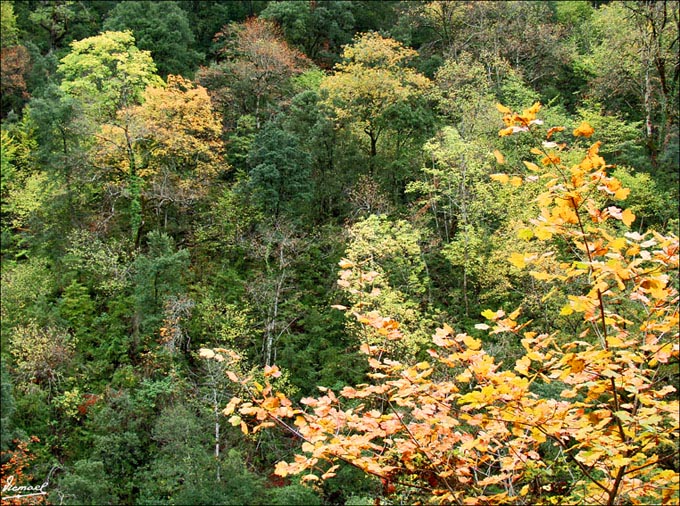 Foto de Añisclo (Huesca), España