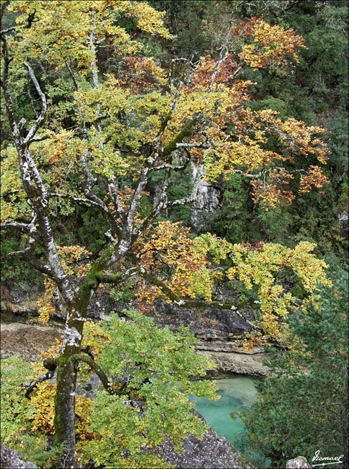 Foto de Añisclo (Huesca), España