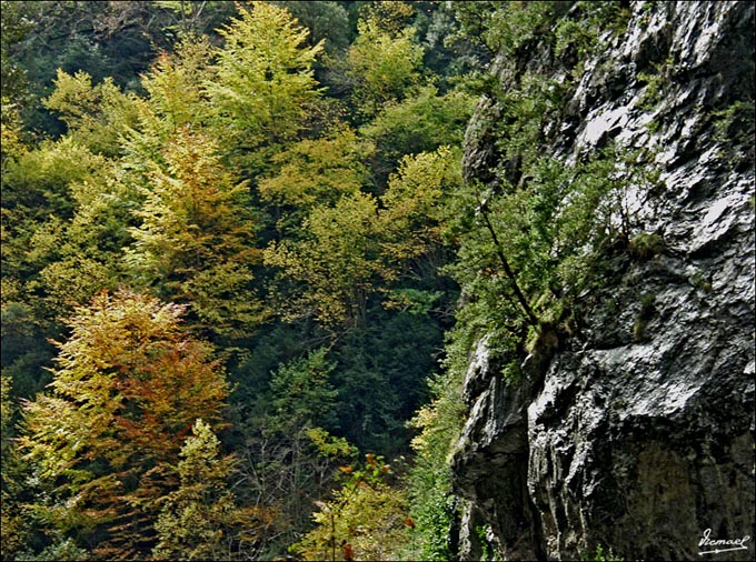 Foto de Añisclo (Huesca), España
