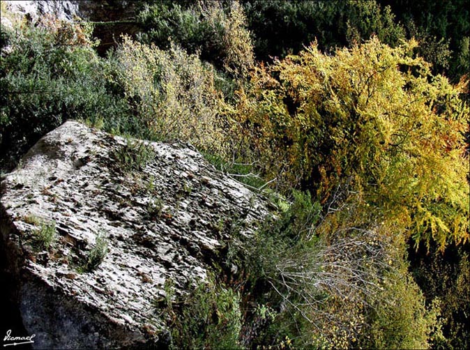Foto de Añisclo (Huesca), España