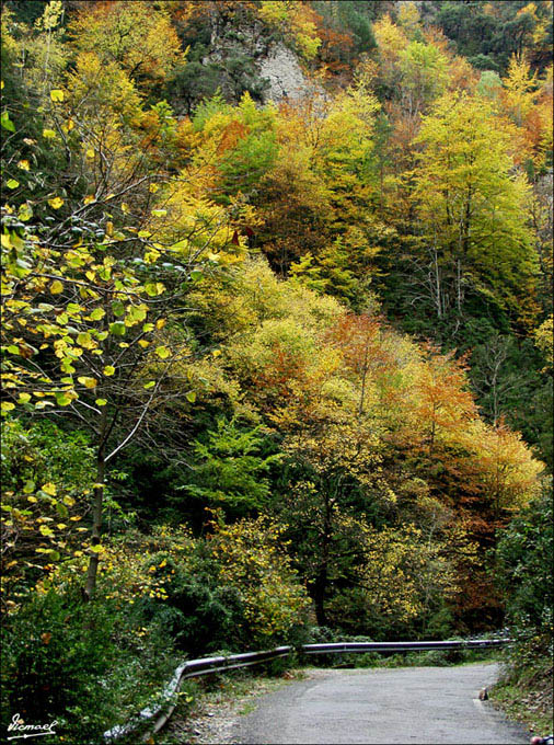 Foto de Añisclo (Huesca), España