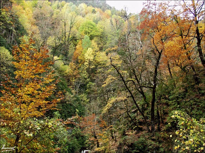 Foto de Añisclo (Huesca), España