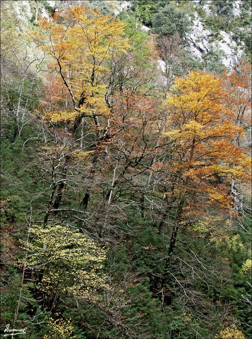 Foto de Añisclo (Huesca), España