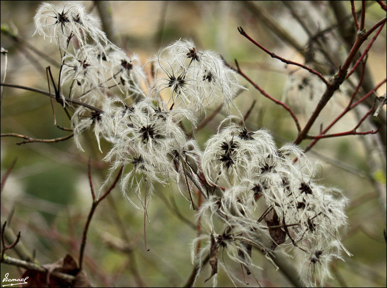 Foto de Añisclo (Huesca), España