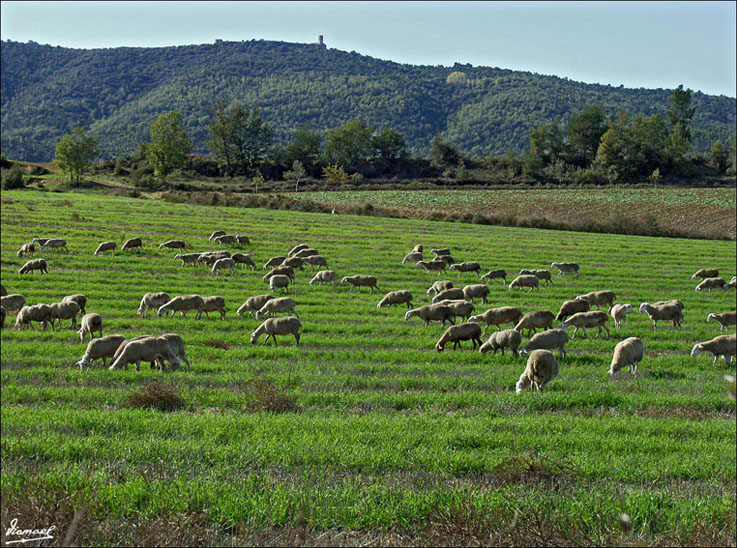 Foto de Muro de Roda (Huesca), España