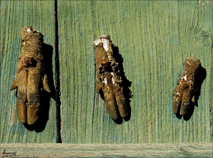 Foto de Avizanda (Huesca), España