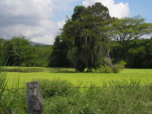 Foto de Guadalajara de Buga, Colombia