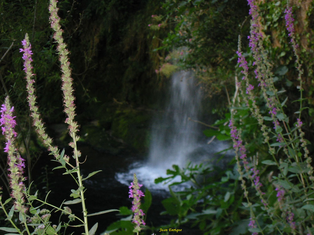 Foto de Sant Miquel del Fai (Barcelona), España