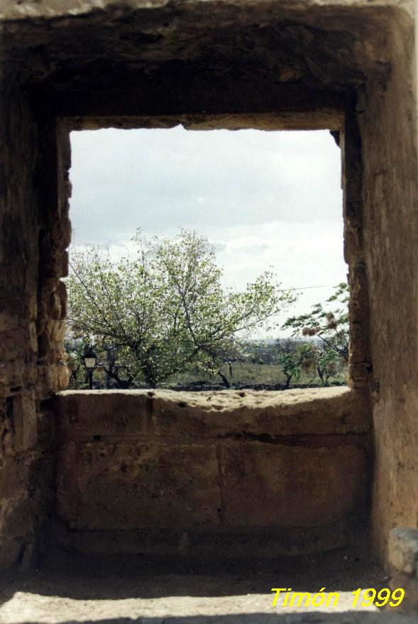 Foto de Alcúdia (Illes Balears), España